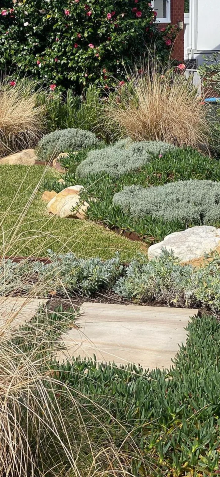 Layered garden with ornamental grasses, silver foliage, sandstone rocks and a stepping stone path