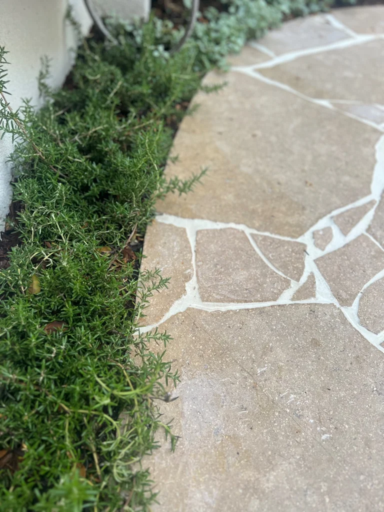 Warm irregular stone paving beside a border of fine green foliage