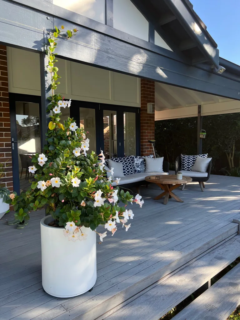 White flowering planter beside outdoor seating on the deck