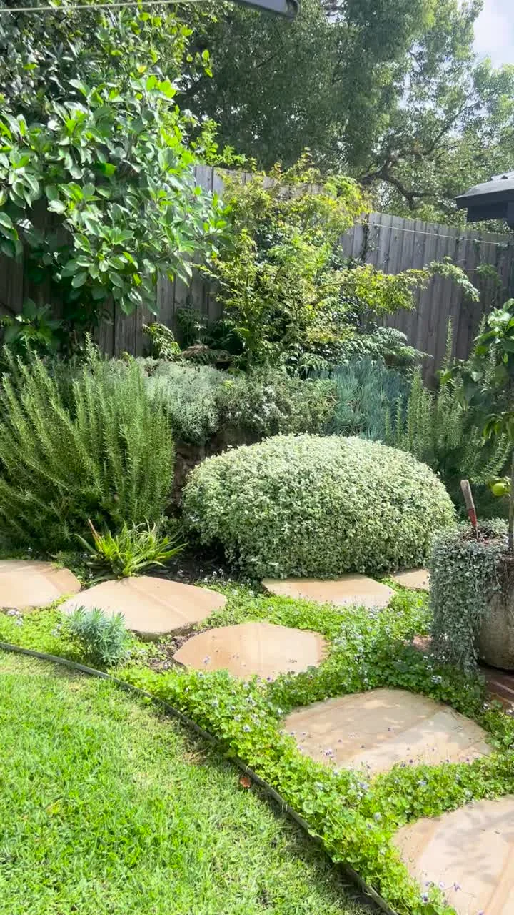 Stepping stones through a leafy Dingo garden