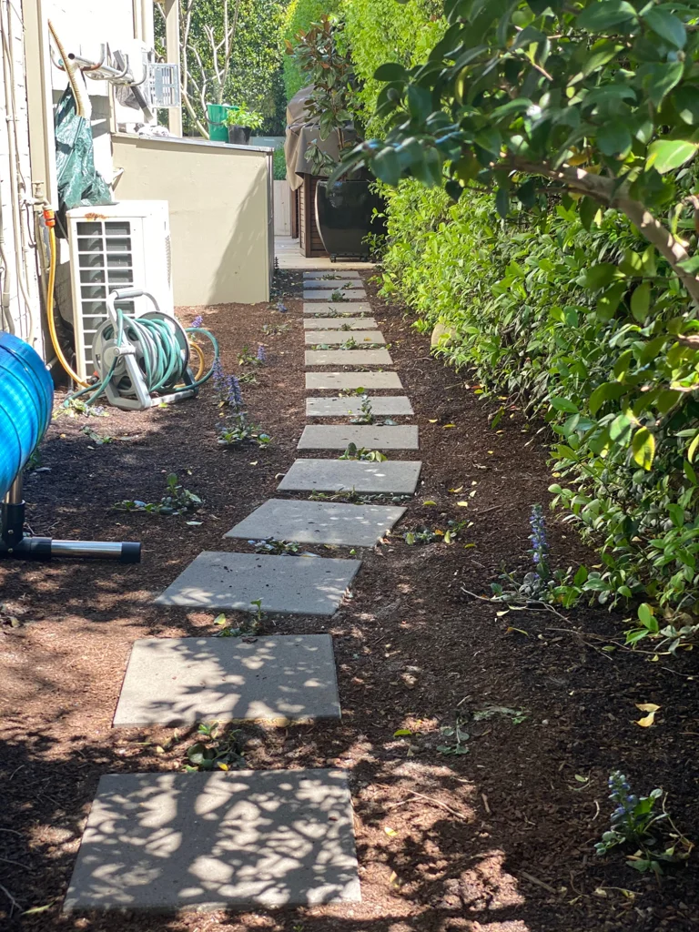 Stepping stone path through a leafy side garden
