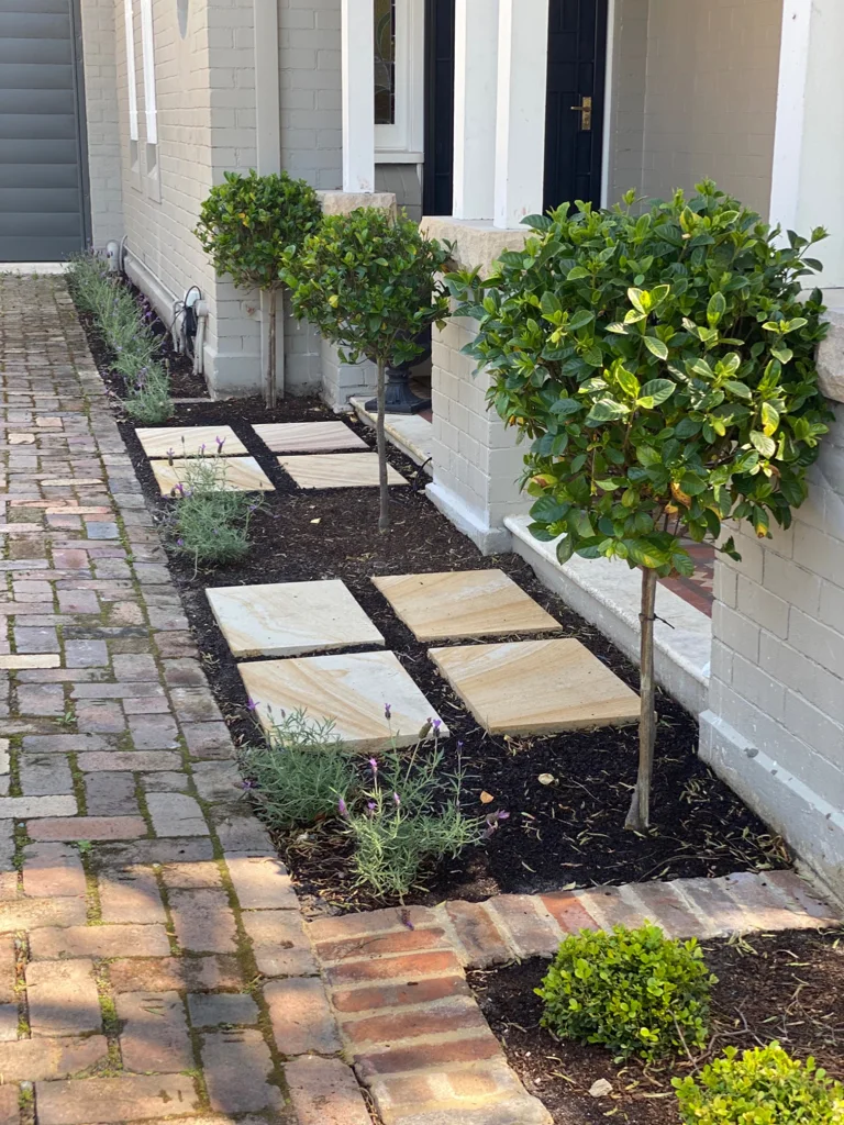 Stepping stones and clipped trees beside the house