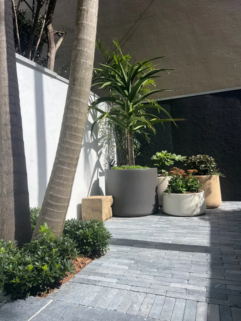 Grey paved courtyard with palms and a collection of planted pots