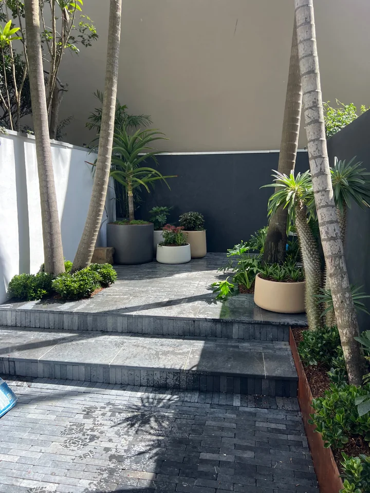Broad paved steps leading into a courtyard with palms, pots and planted borders