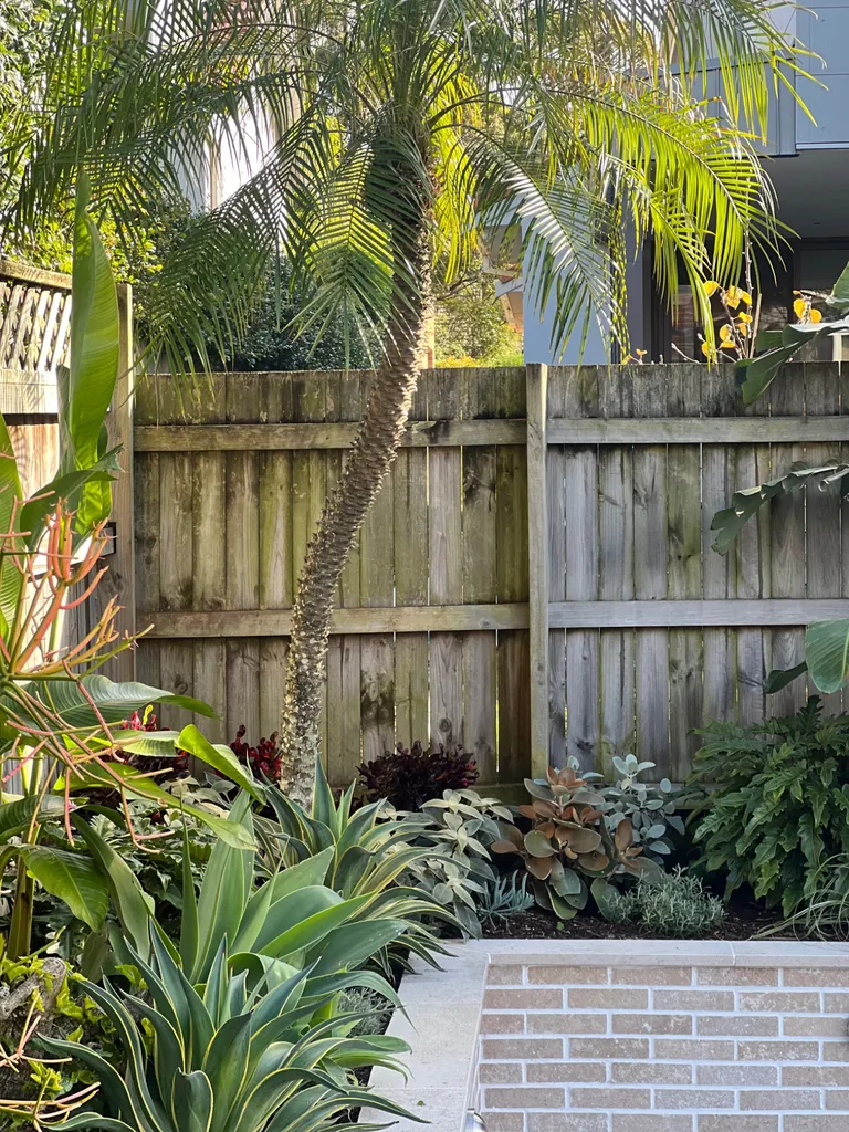 Palm and sculptural succulents above a pale brick planter against a timber fence