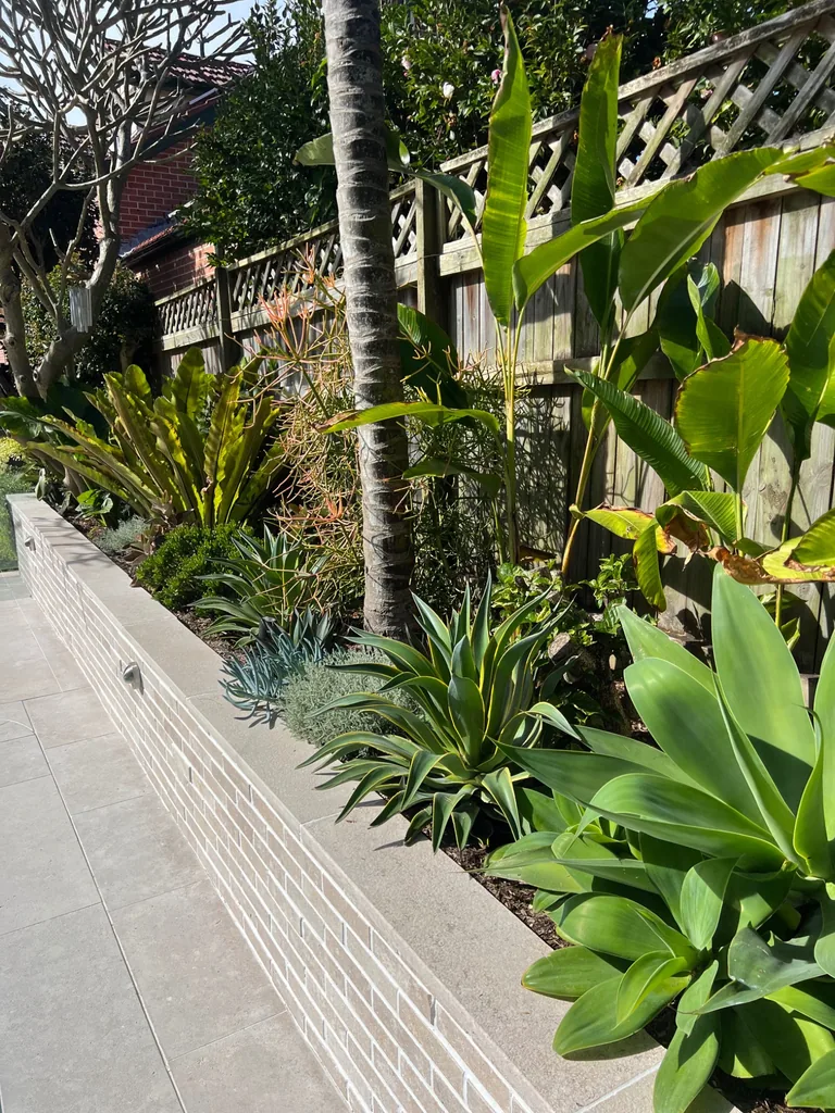 Layered foliage and succulents in a pale brick raised planter beside paving and a timber fence