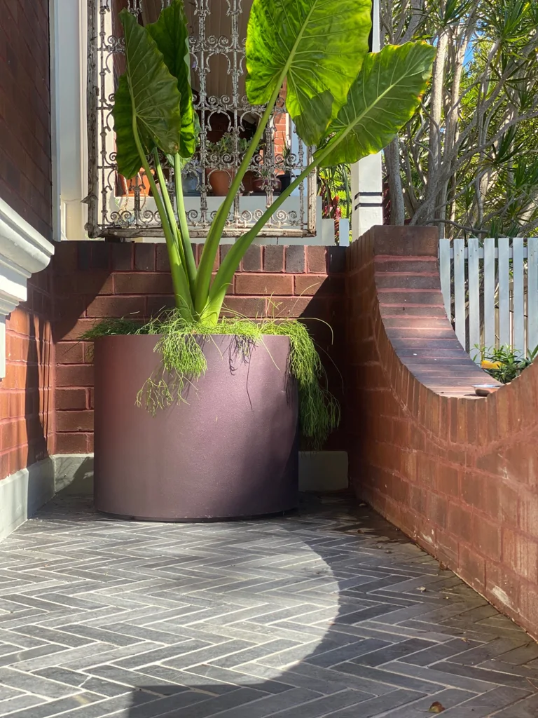 Large purple planter beside a brick verandah
